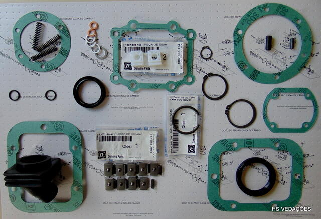 Imagem de ZF 1307298808 – JG. REPARO COMPLETO CX.ZF S5-420 - RCM 808